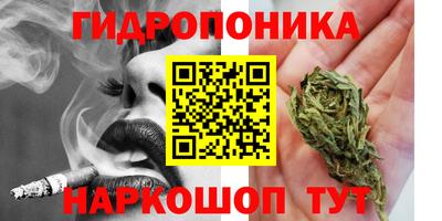 PSILOCYBIN Кинель