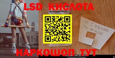 PSILOCYBIN Кинель