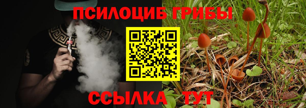 Псилоцибиновые грибы GOLDEN TEACHER  где купить   Галлюциногенные грибы GOLDEN TEACHER  Краснознаменск  Вход с VPN 