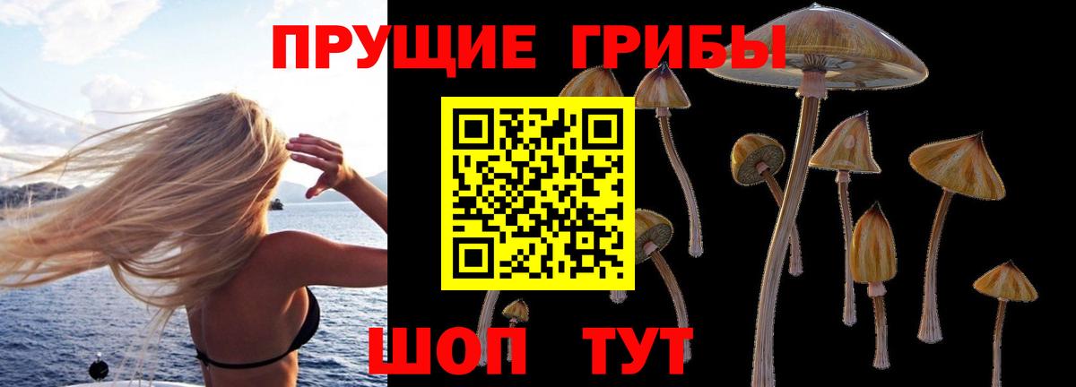 Галлюциногенные грибы ЛСД Краснознаменск